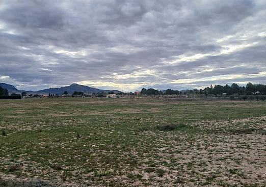 Land in Yecla