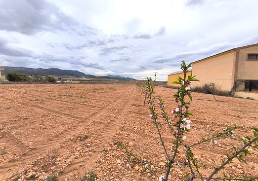 Land in Pinoso