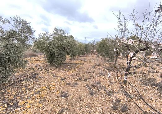 Country house in La Romana