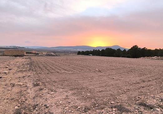 Land in Yecla