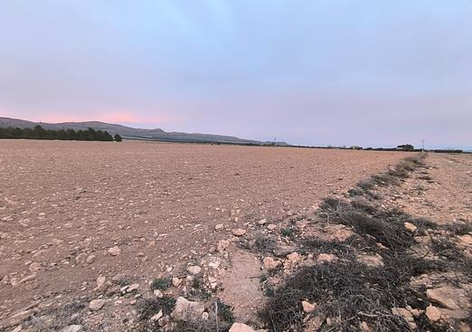 Land in Yecla