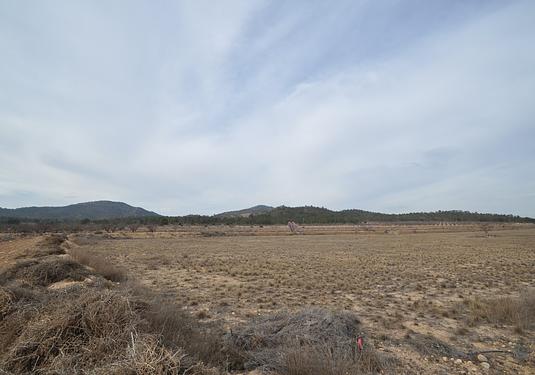 Land in Monóvar/Monóver