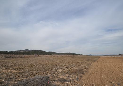 Land in Monóvar/Monóver