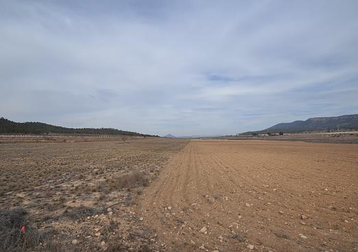 Land in Monóvar/Monóver