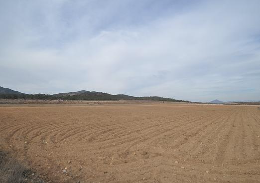 Land in Monóvar/Monóver