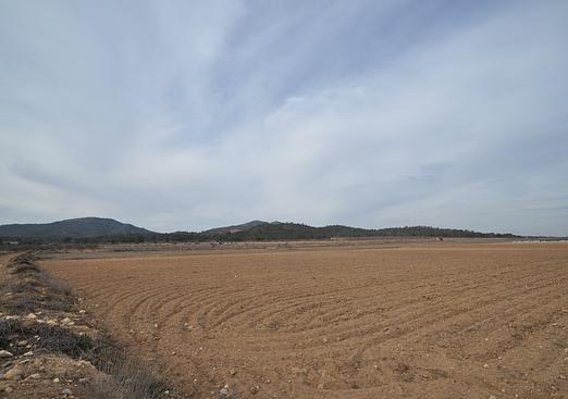 Land in Monóvar/Monóver