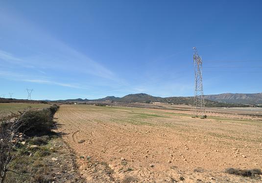 Land in Salinas