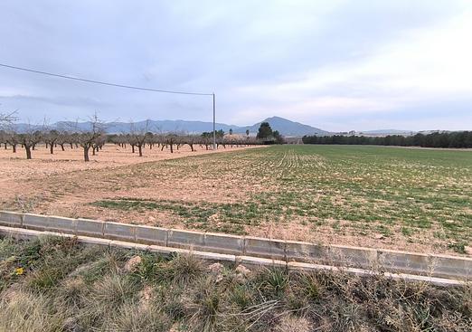 Land in Yecla