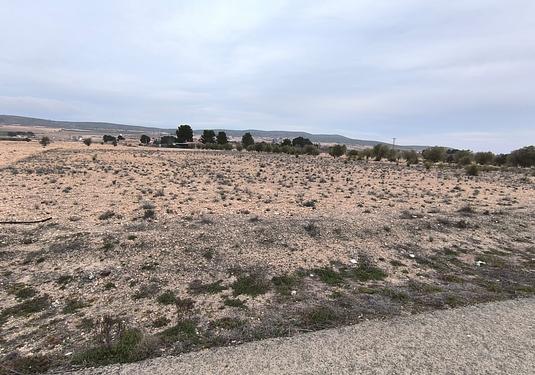 Land in Yecla