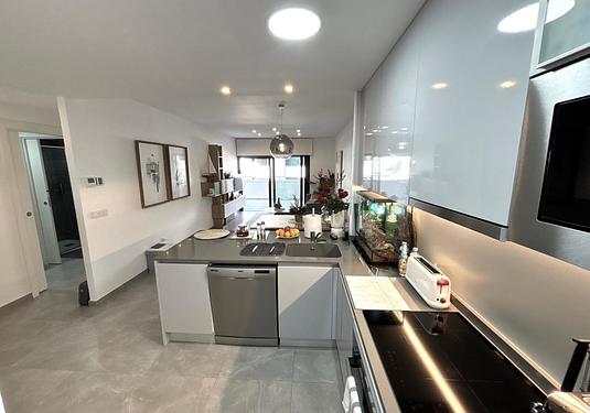 Apartment in Playa Flamenca