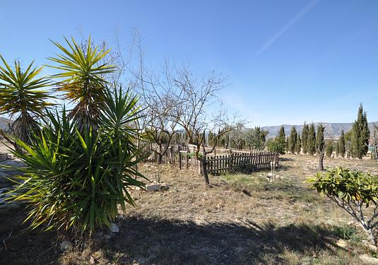 Country house in Salinas