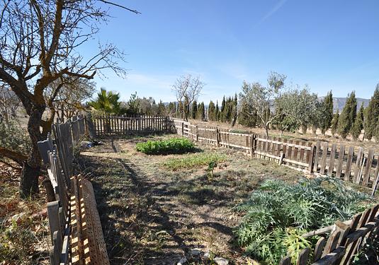 Country house in Salinas
