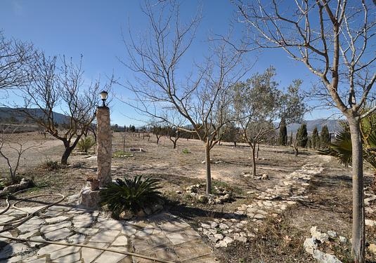 Country house in Salinas