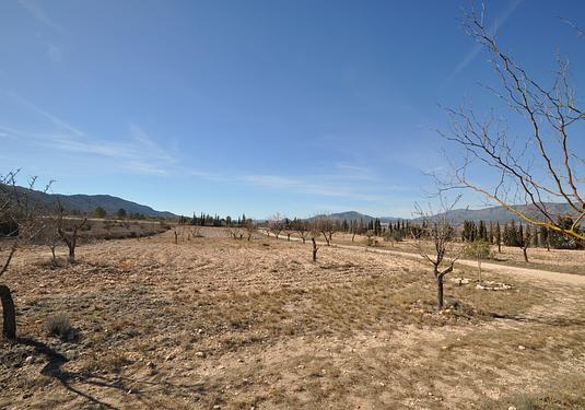 Country house in Salinas