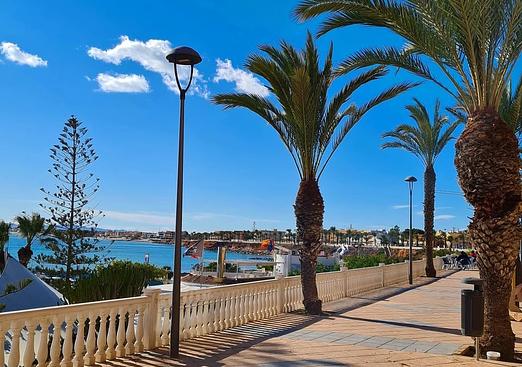 Bungalow in Pilar de La Horadada