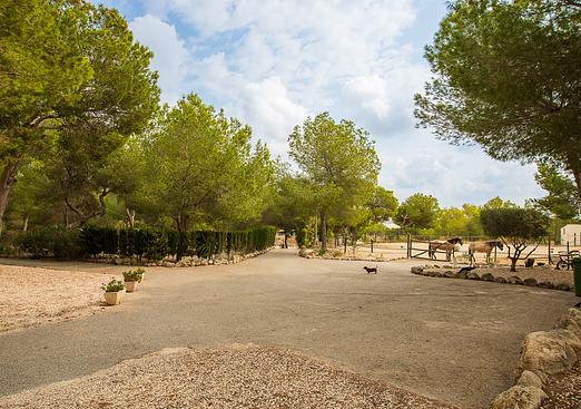 Country house in Torremendo