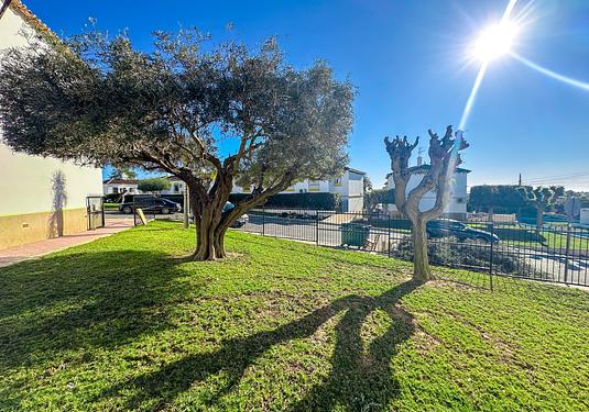 Apartment in Villamartin
