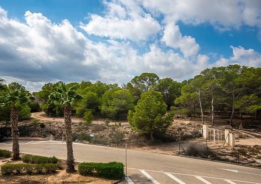 Apartment in Algorfa