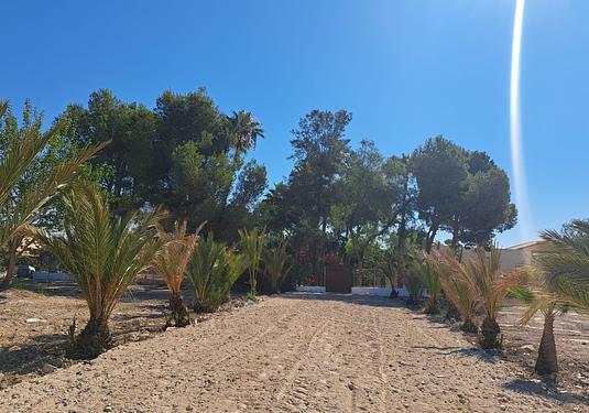 Country house in Orihuela