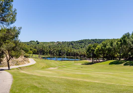 Bungalow in San Miguel de Salinas