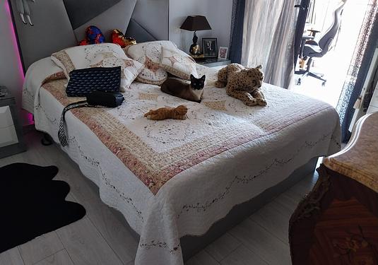 Apartment in La Mata