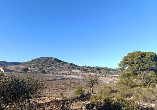 Land in Yecla
