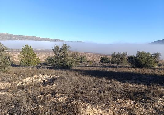 Land in Yecla
