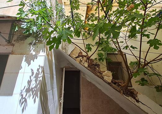 Commercial in Orihuela