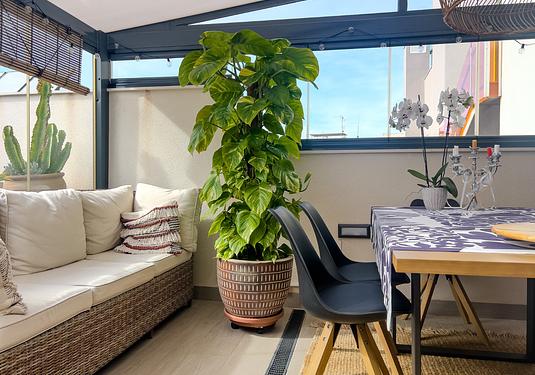 Apartment in Torrevieja