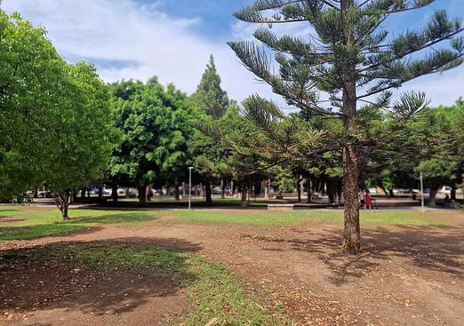 Apartment in Torrevieja