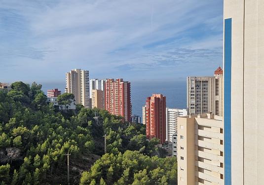 Apartment in Benidorm