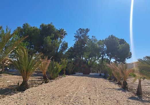 Finca in Orihuela