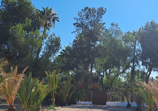 Finca in Orihuela