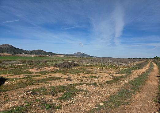 Land in Yecla