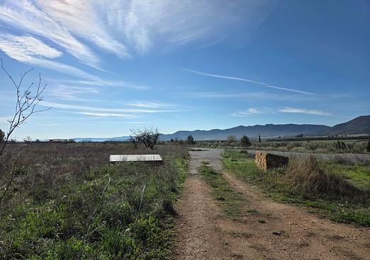 Land in Yecla