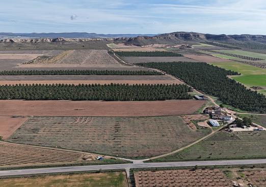 Land in Yecla
