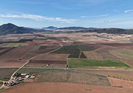 Land in Yecla