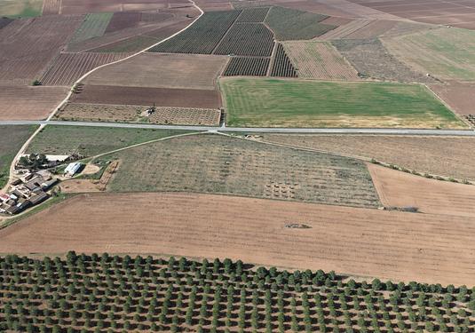 Land in Yecla