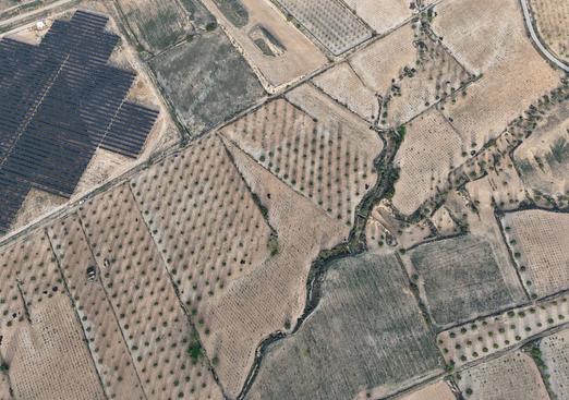 Land in Jumilla