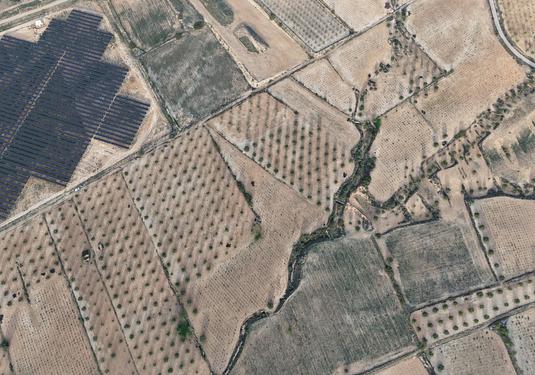 Land in Jumilla