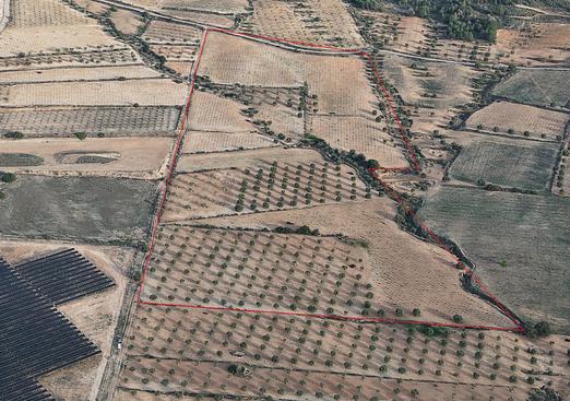 Land in Jumilla