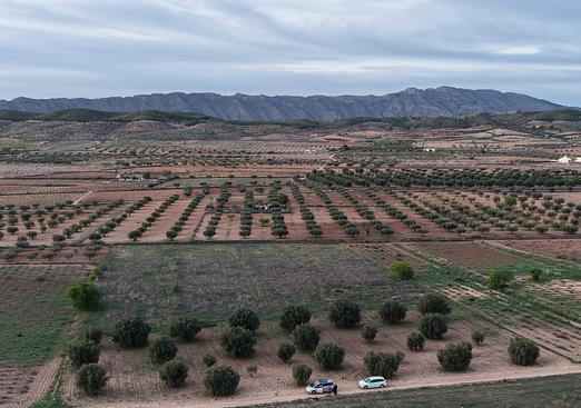 Land in Jumilla