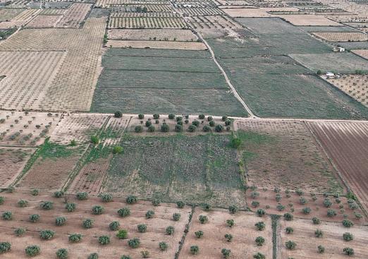 Land in Jumilla