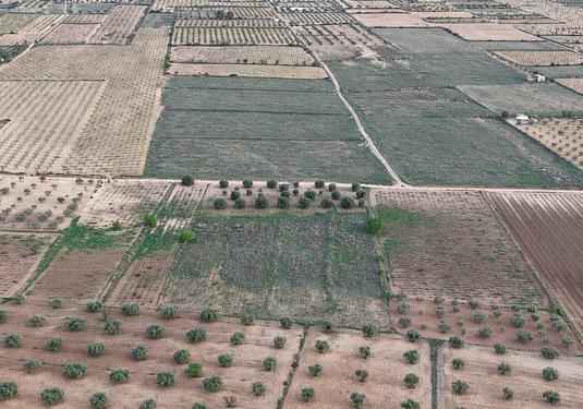 Land in Jumilla