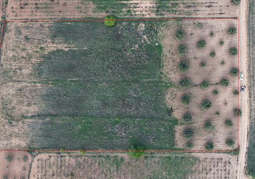 Land in Jumilla
