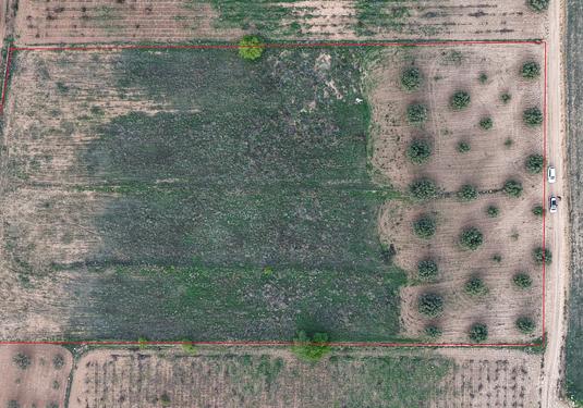 Land in Jumilla
