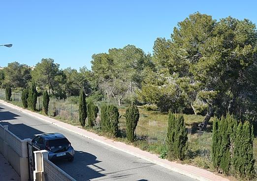 Apartment in Blue Lagoon