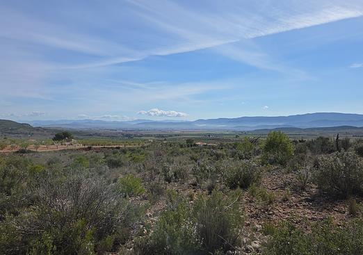 Land in Yecla