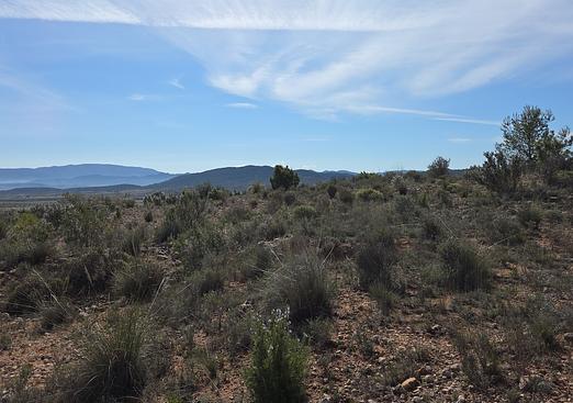 Land in Yecla