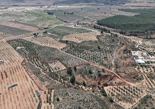 Land in Yecla